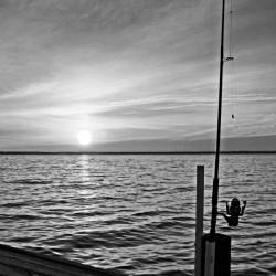 BW Fishing Pole Sunset